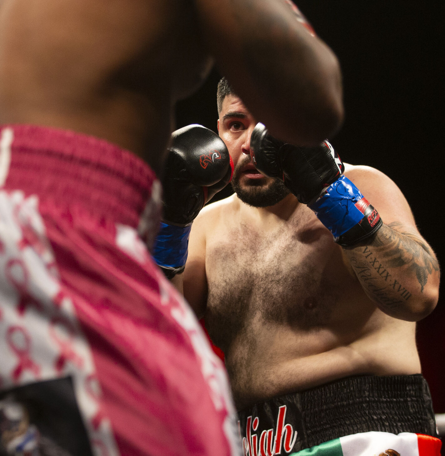 Roy Jones Championship Boxing